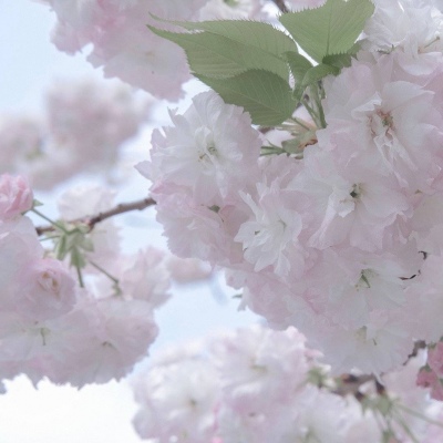 Furry兽设设计实用干货Furry群